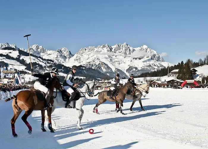 酒店 瑞希酒店 3*